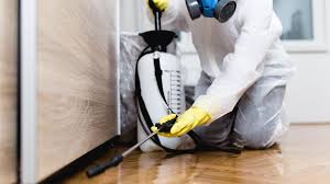 Best Pest Control for Warehouses  in Dickinson, TX